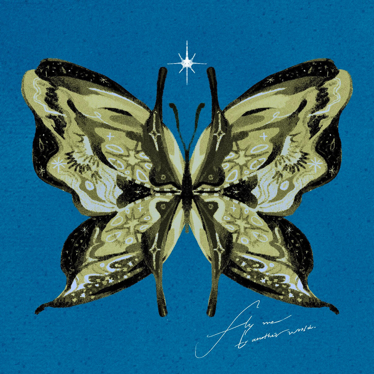 Butterfly 1