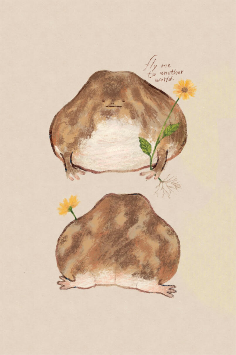 Desert Frog